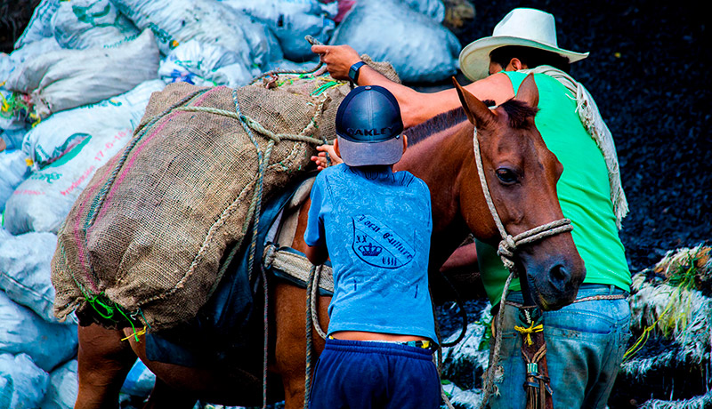 MinTrabajo intensifica acciones de inspección en Minas de Amagá, Antioquia, con fines de erradicación del Trabajo Infantil