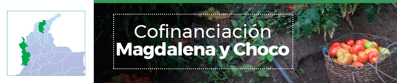 Contenido Cofinanciación Magdalena y Chocó